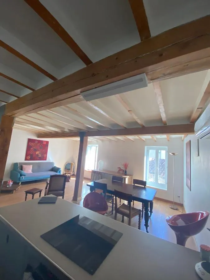 דירה Medieval Avignon, Calm, Stunning & Spacious 60M2 צרפת